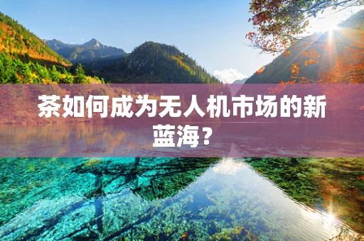 茶如何成为无人机市场的新蓝海？