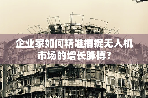 企业家如何精准捕捉无人机市场的增长脉搏？