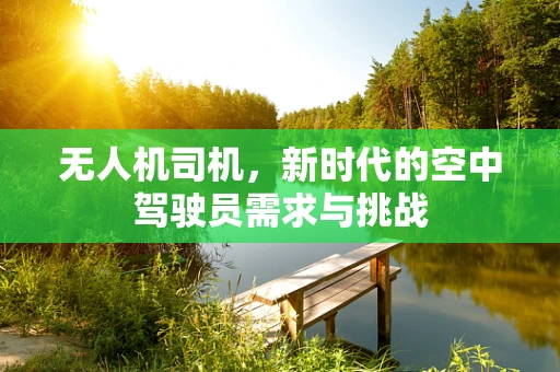 无人机司机，新时代的空中驾驶员需求与挑战