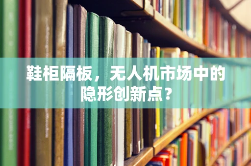鞋柜隔板，无人机市场中的隐形创新点？