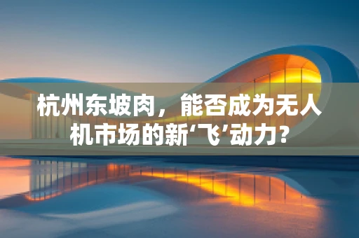 杭州东坡肉，能否成为无人机市场的新‘飞’动力？