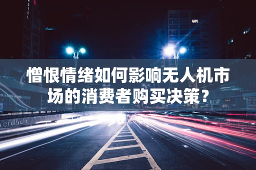 憎恨情绪如何影响无人机市场的消费者购买决策？