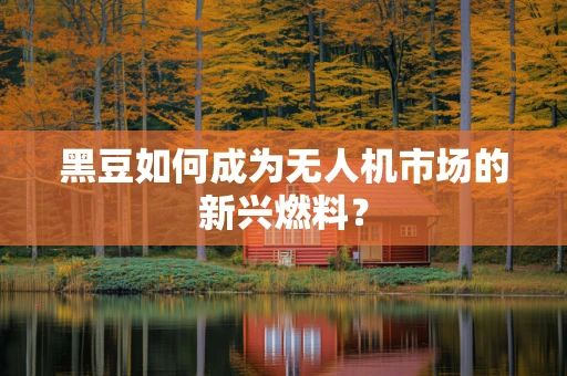 黑豆如何成为无人机市场的新兴燃料？