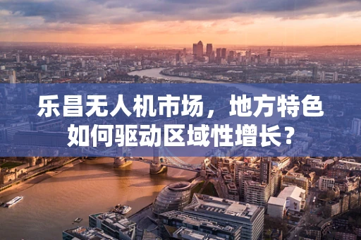 乐昌无人机市场，地方特色如何驱动区域性增长？