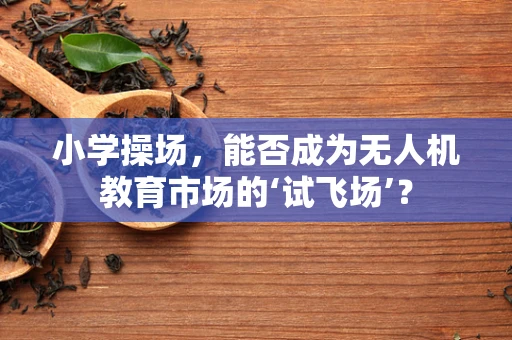 小学操场，能否成为无人机教育市场的‘试飞场’？