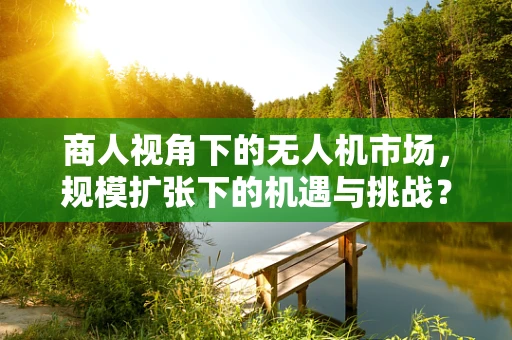 商人视角下的无人机市场，规模扩张下的机遇与挑战？