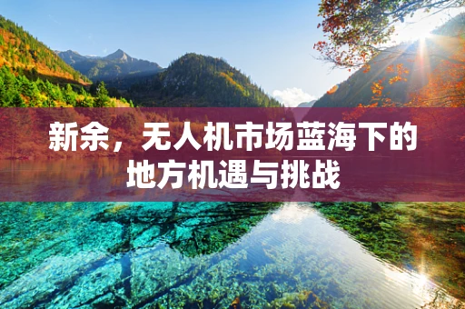 新余，无人机市场蓝海下的地方机遇与挑战
