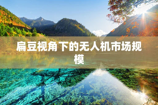 扁豆视角下的无人机市场规模