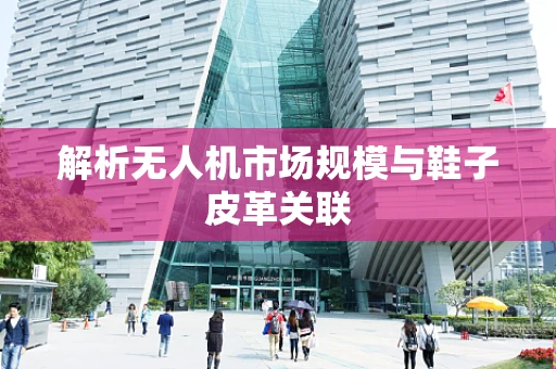 解析无人机市场规模与鞋子皮革关联