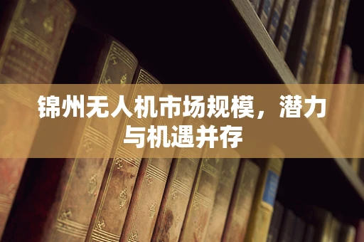 锦州无人机市场规模，潜力与机遇并存