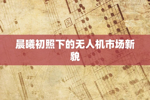 晨曦初照下的无人机市场新貌
