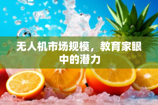 无人机市场规模，教育家眼中的潜力