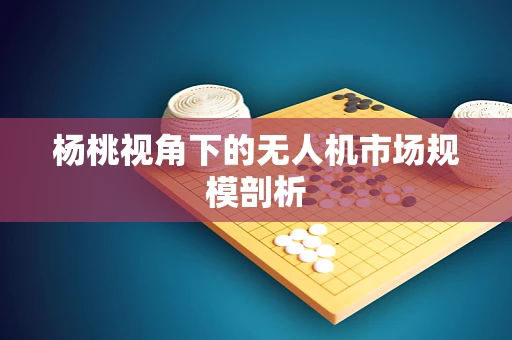 杨桃视角下的无人机市场规模剖析