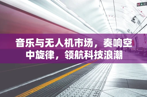 音乐与无人机市场，奏响空中旋律，领航科技浪潮