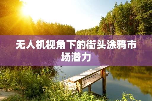 无人机视角下的街头涂鸦市场潜力