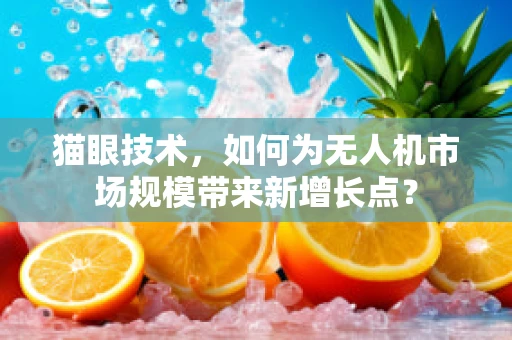 猫眼技术，如何为无人机市场规模带来新增长点？