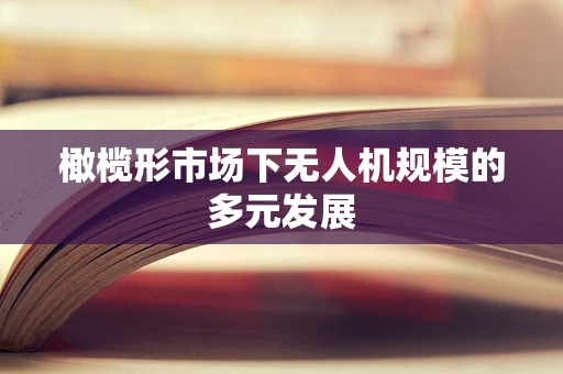 橄榄形市场下无人机规模的多元发展