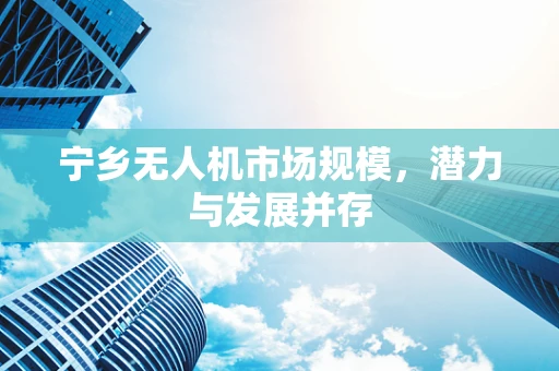 宁乡无人机市场规模，潜力与发展并存