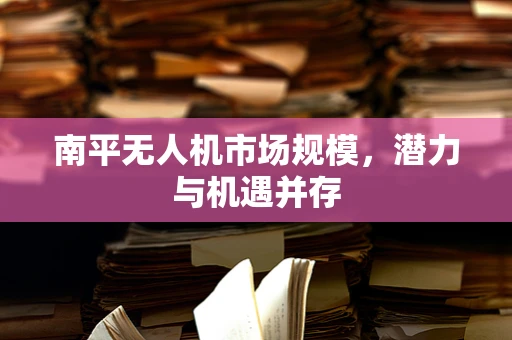 南平无人机市场规模，潜力与机遇并存