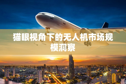 猫眼视角下的无人机市场规模洞察