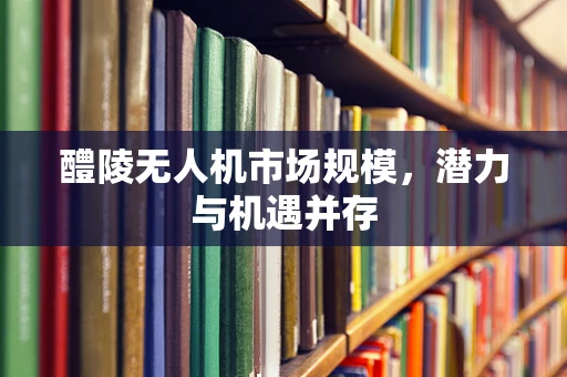 醴陵无人机市场规模，潜力与机遇并存