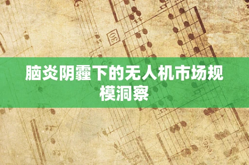 脑炎阴霾下的无人机市场规模洞察