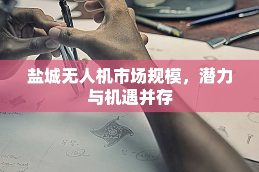 盐城无人机市场规模，潜力与机遇并存