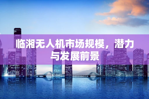 临湘无人机市场规模，潜力与发展前景