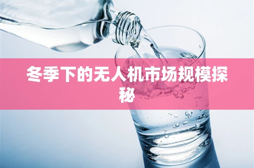 冬季下的无人机市场规模探秘