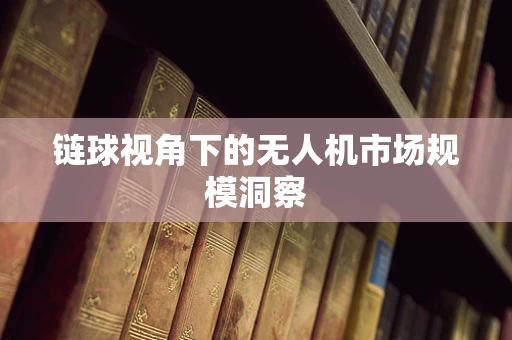 链球视角下的无人机市场规模洞察