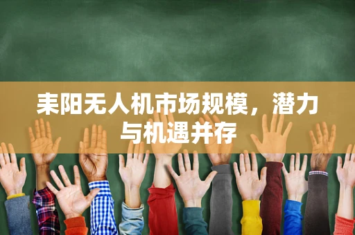 耒阳无人机市场规模，潜力与机遇并存