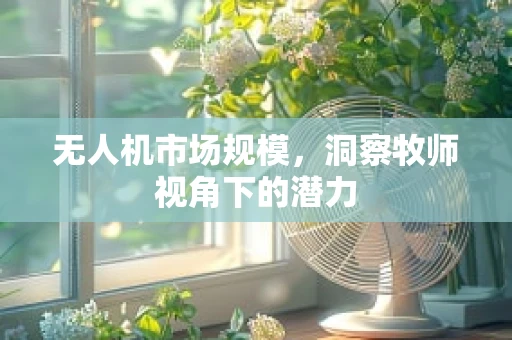 无人机市场规模，洞察牧师视角下的潜力