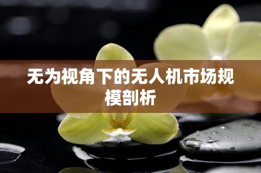 无为视角下的无人机市场规模剖析