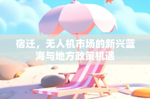 宿迁，无人机市场的新兴蓝海与地方政策机遇