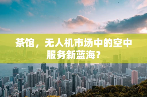 茶馆，无人机市场中的空中服务新蓝海？
