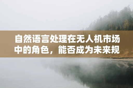 自然语言处理在无人机市场中的角色，能否成为未来规模扩张的关键？