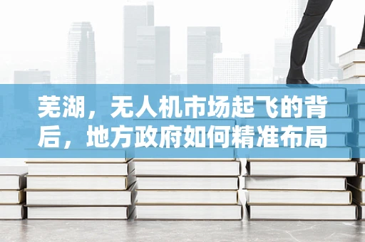 芜湖，无人机市场起飞的背后，地方政府如何精准布局？