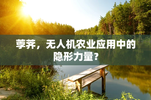 荸荠，无人机农业应用中的隐形力量？