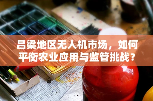 吕梁地区无人机市场，如何平衡农业应用与监管挑战？