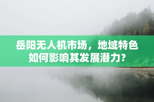 岳阳无人机市场，地域特色如何影响其发展潜力？