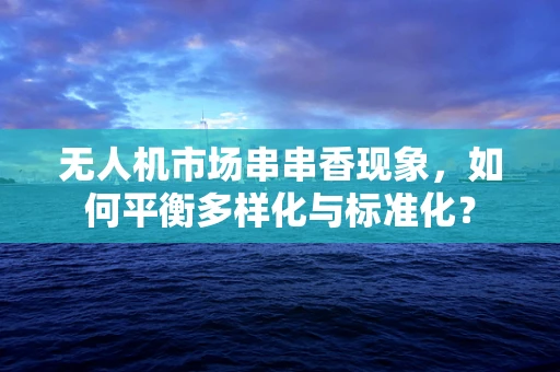 无人机市场串串香现象，如何平衡多样化与标准化？