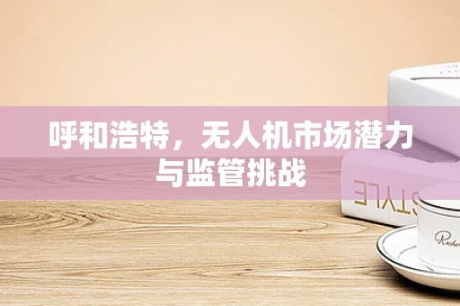 呼和浩特，无人机市场潜力与监管挑战