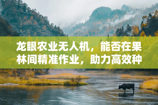 龙眼农业无人机，能否在果林间精准作业，助力高效种植？