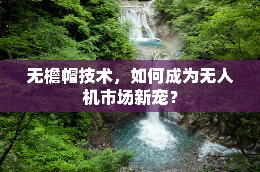 无檐帽技术，如何成为无人机市场新宠？