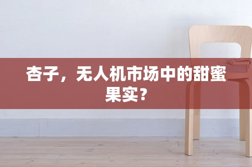 杏子，无人机市场中的甜蜜果实？