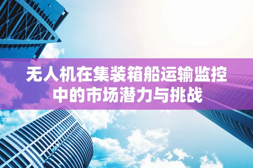 无人机在集装箱船运输监控中的市场潜力与挑战