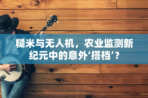 糙米与无人机，农业监测新纪元中的意外‘搭档’？