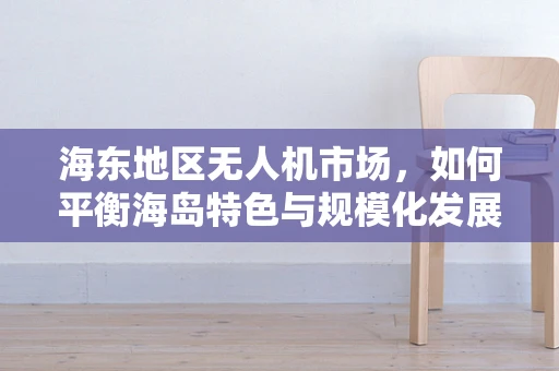 海东地区无人机市场，如何平衡海岛特色与规模化发展？