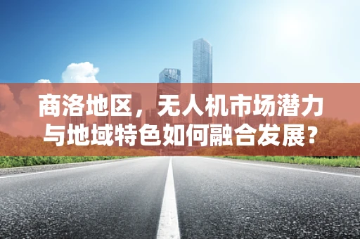 商洛地区，无人机市场潜力与地域特色如何融合发展？