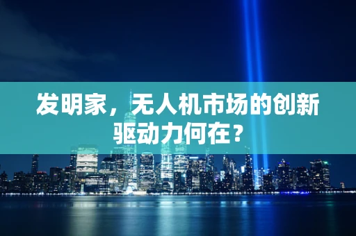 发明家，无人机市场的创新驱动力何在？